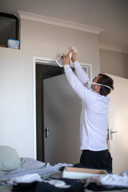 Best Basement Mold Removal  in Rice, TX